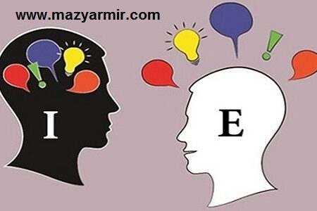 درونگرا برونگرا
