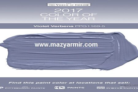 زبان بدن و رنگ سال