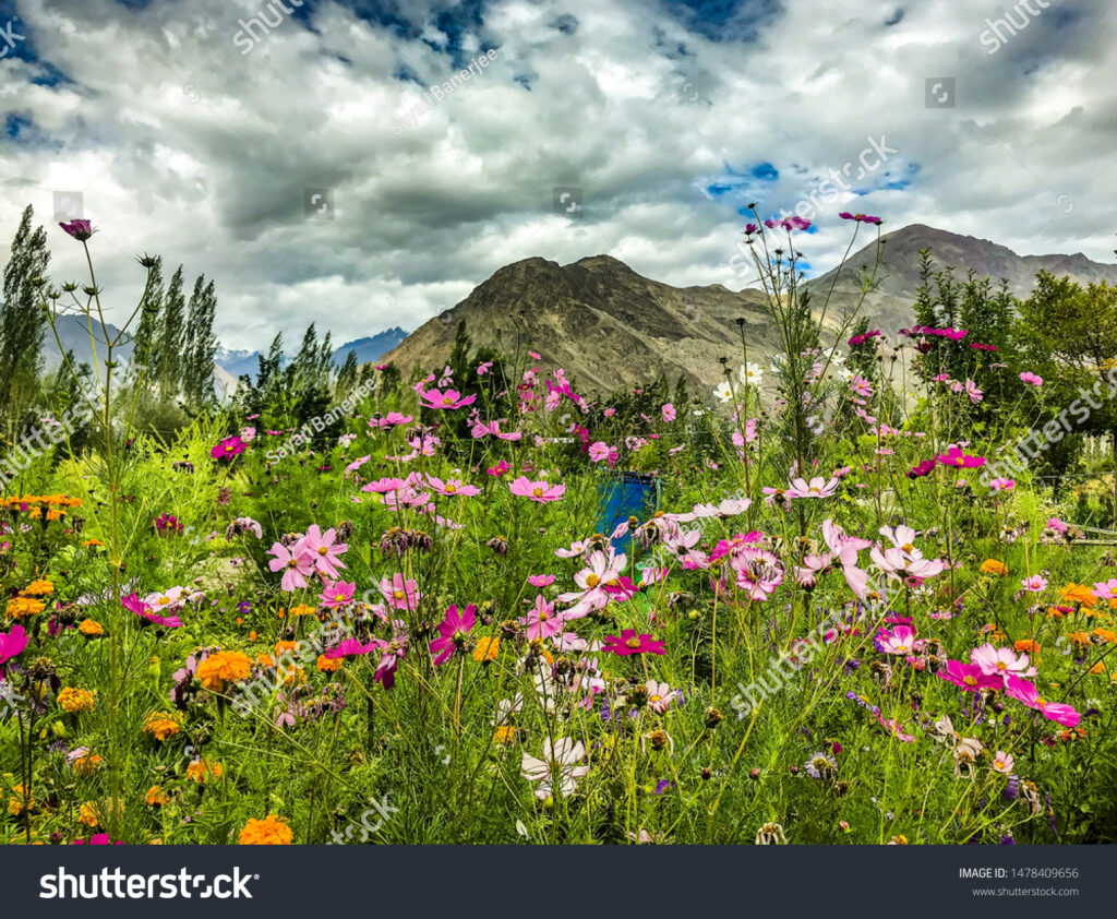 اولین پانسیون فوق تخصصی گل و گیاه ایران